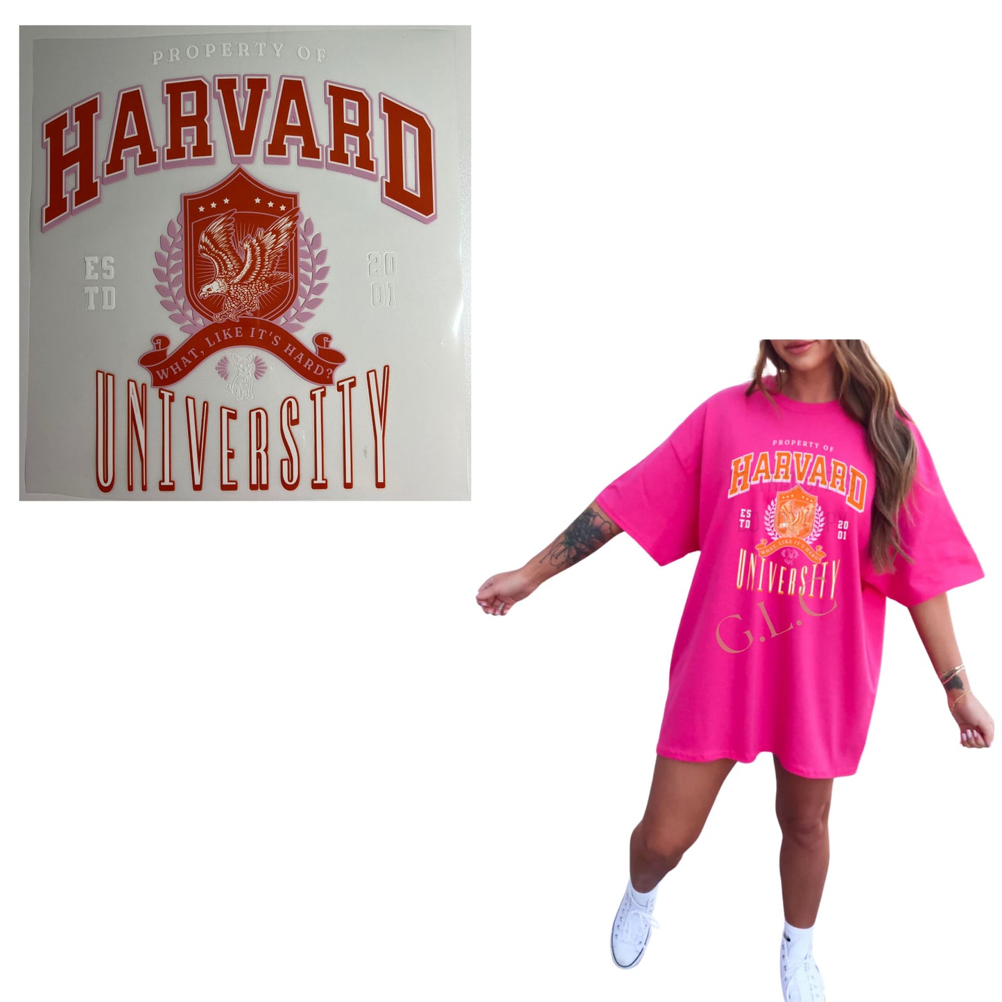 Heat Transfers- Adult/ humor/ Sarcastic