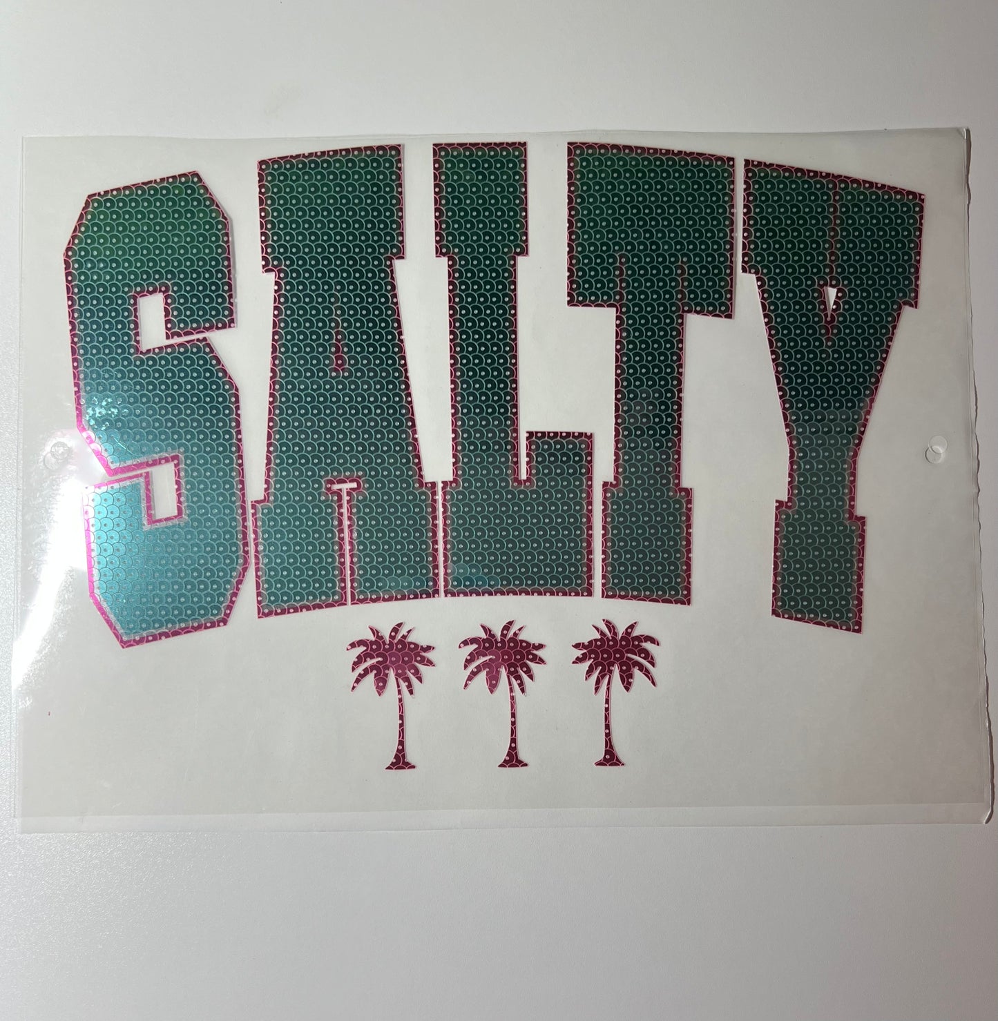Heat Transfers- Beachy / Seasons