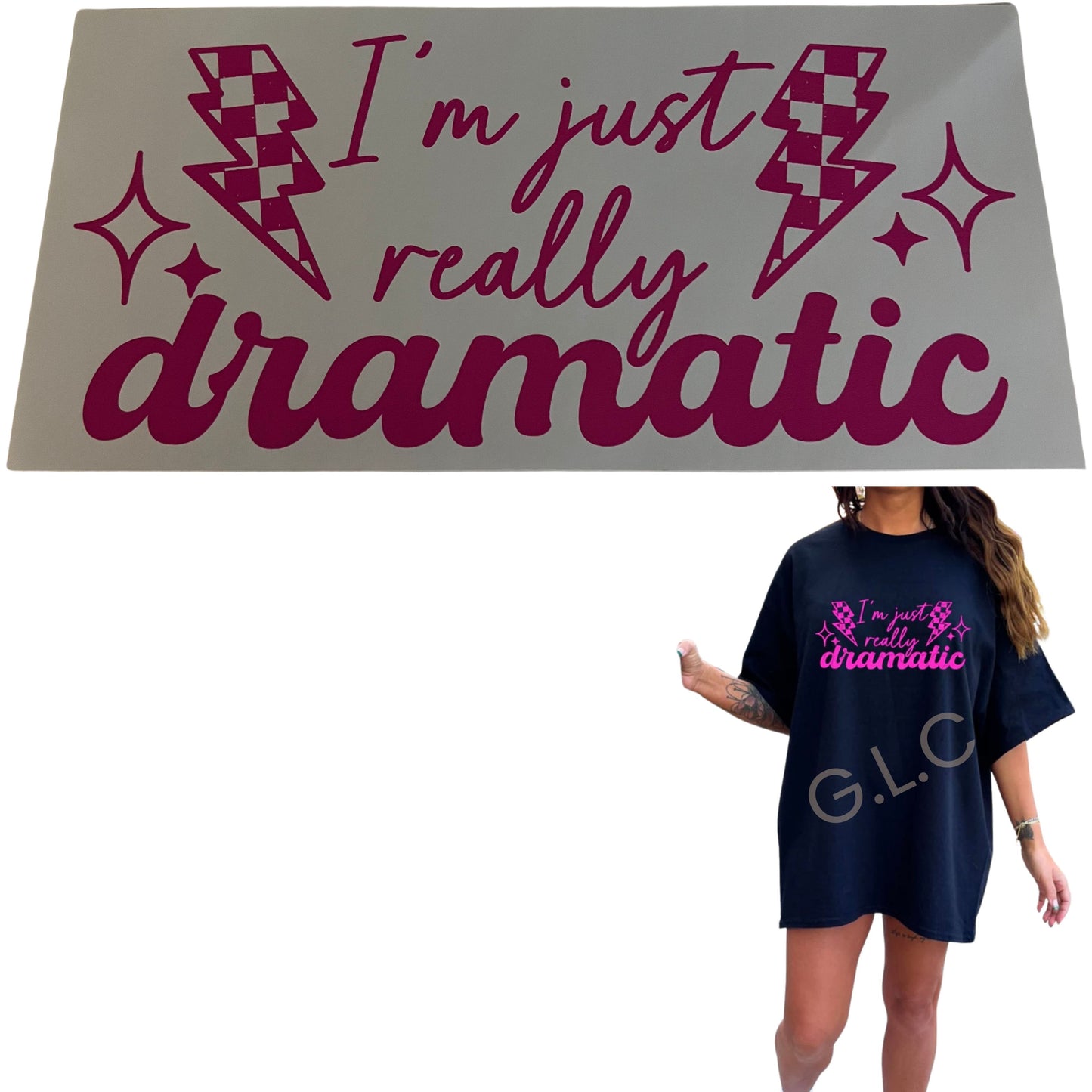 Heat Transfers- Adult/ humor/ Sarcastic