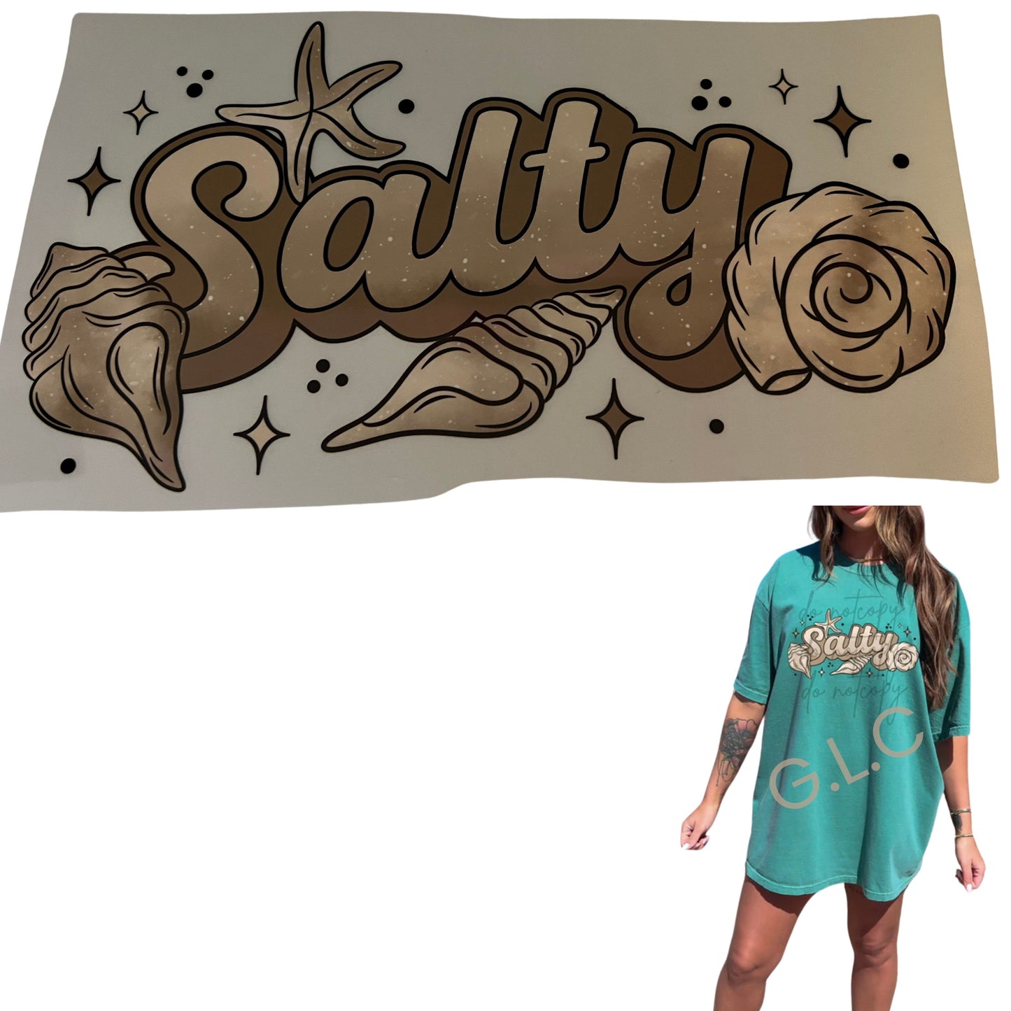 Heat Transfers- Beachy / Seasons