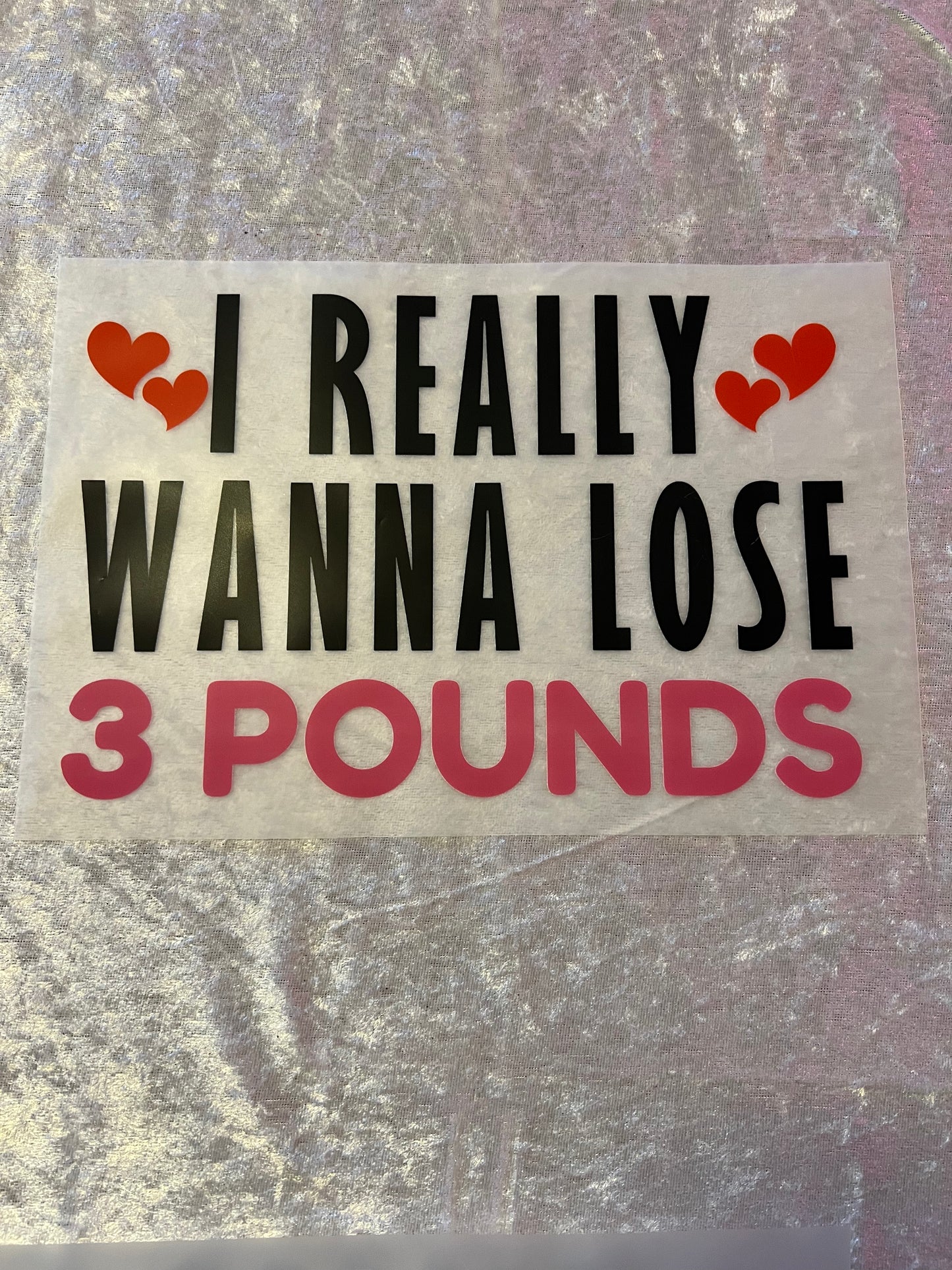 Heat Transfers- Adult/ humor/ Sarcastic