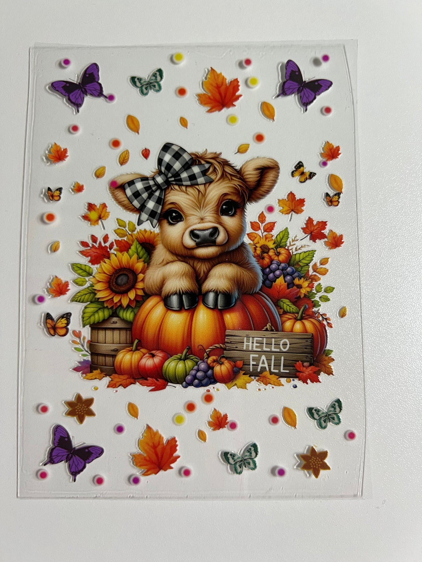 Notebooks Wraps- A5/ A6
