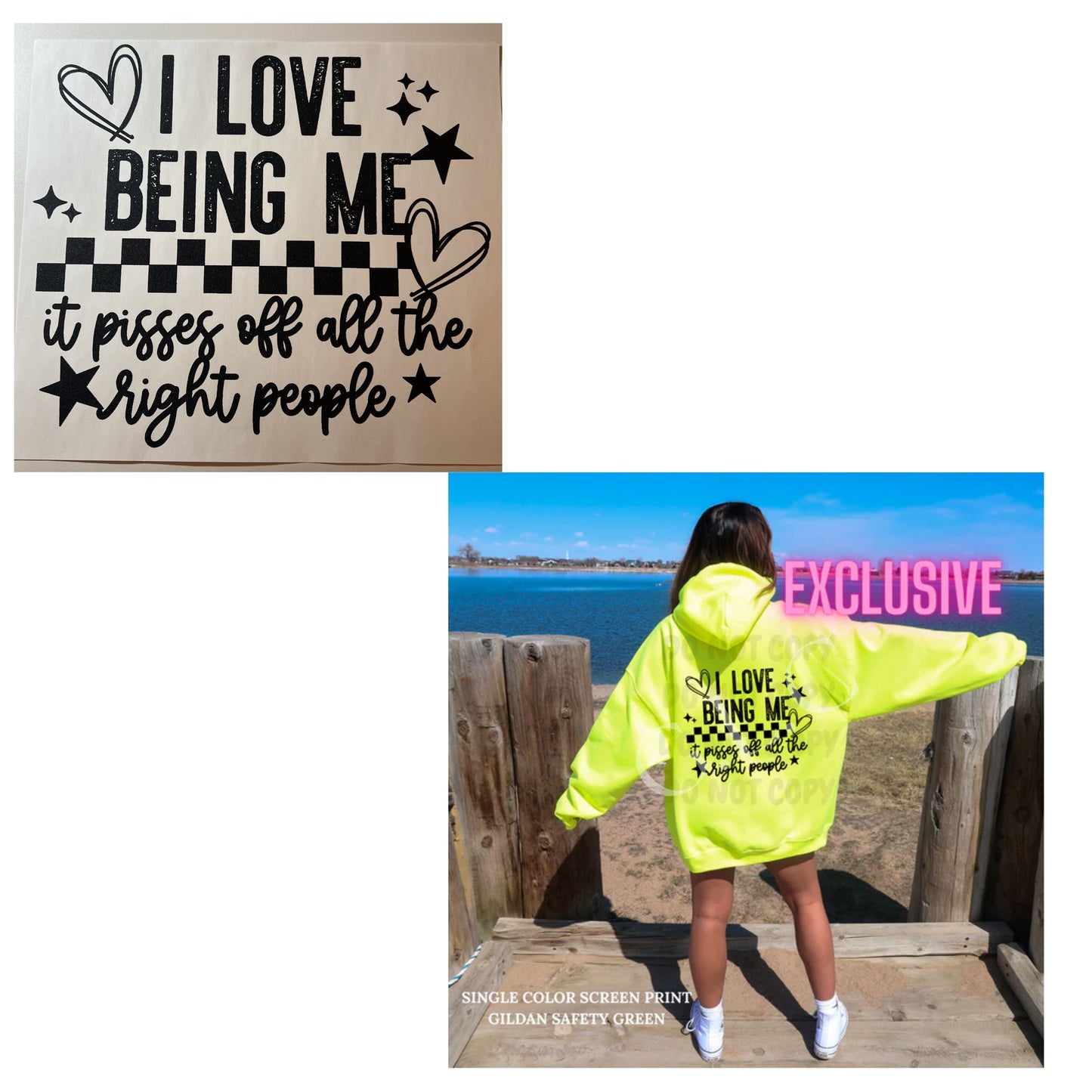 Heat Transfers- Adult/ humor/ Sarcastic
