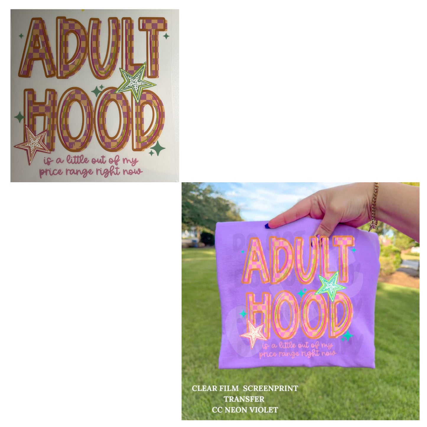 Heat Transfers- Adult/ humor/ Sarcastic