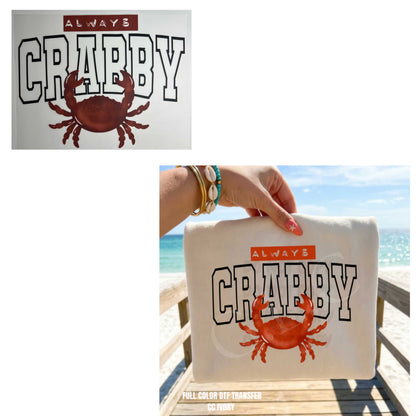 Heat Transfers- Beachy / Seasons