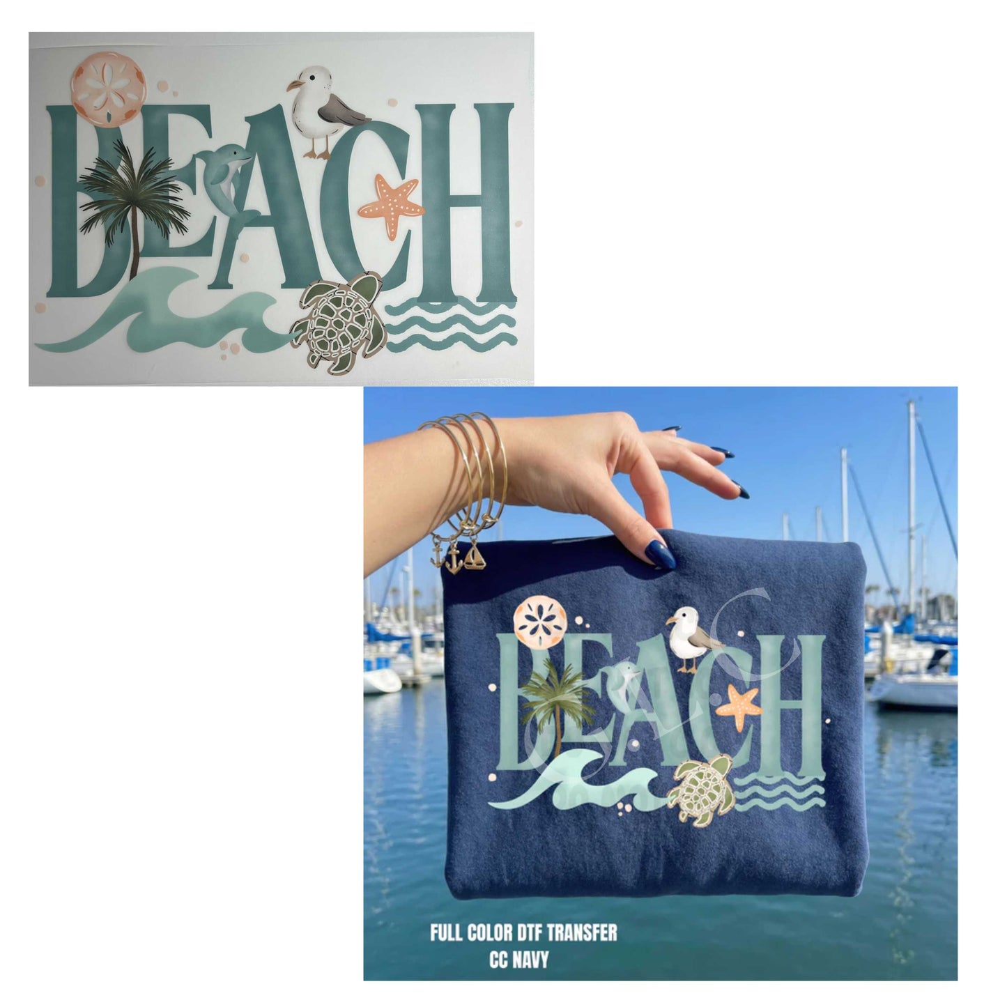 Heat Transfers- Beachy / Seasons
