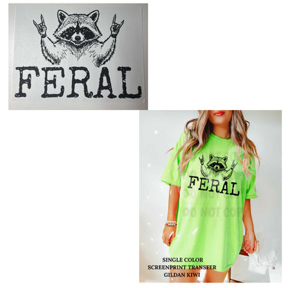 Monday DROP-  NEW Heat transfers- 6/1/26