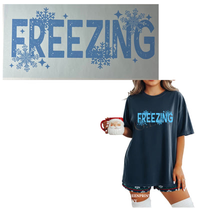 Heat Transfers- Beachy / Seasons