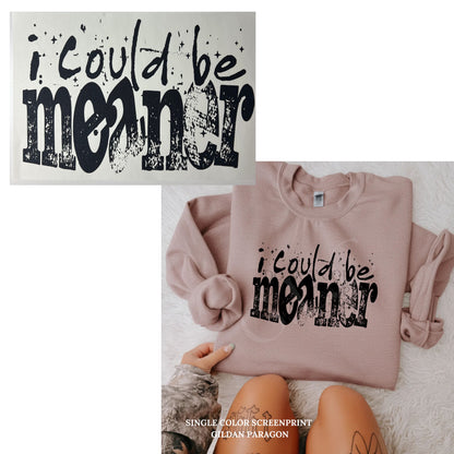 Heat Transfers- Adult/ humor/ Sarcastic