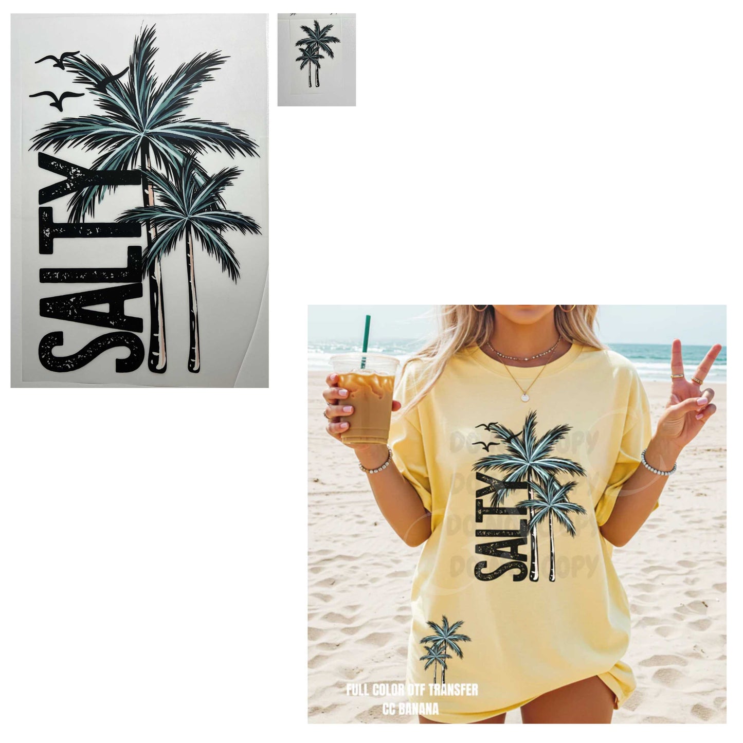 Heat Transfers- Beachy / Seasons