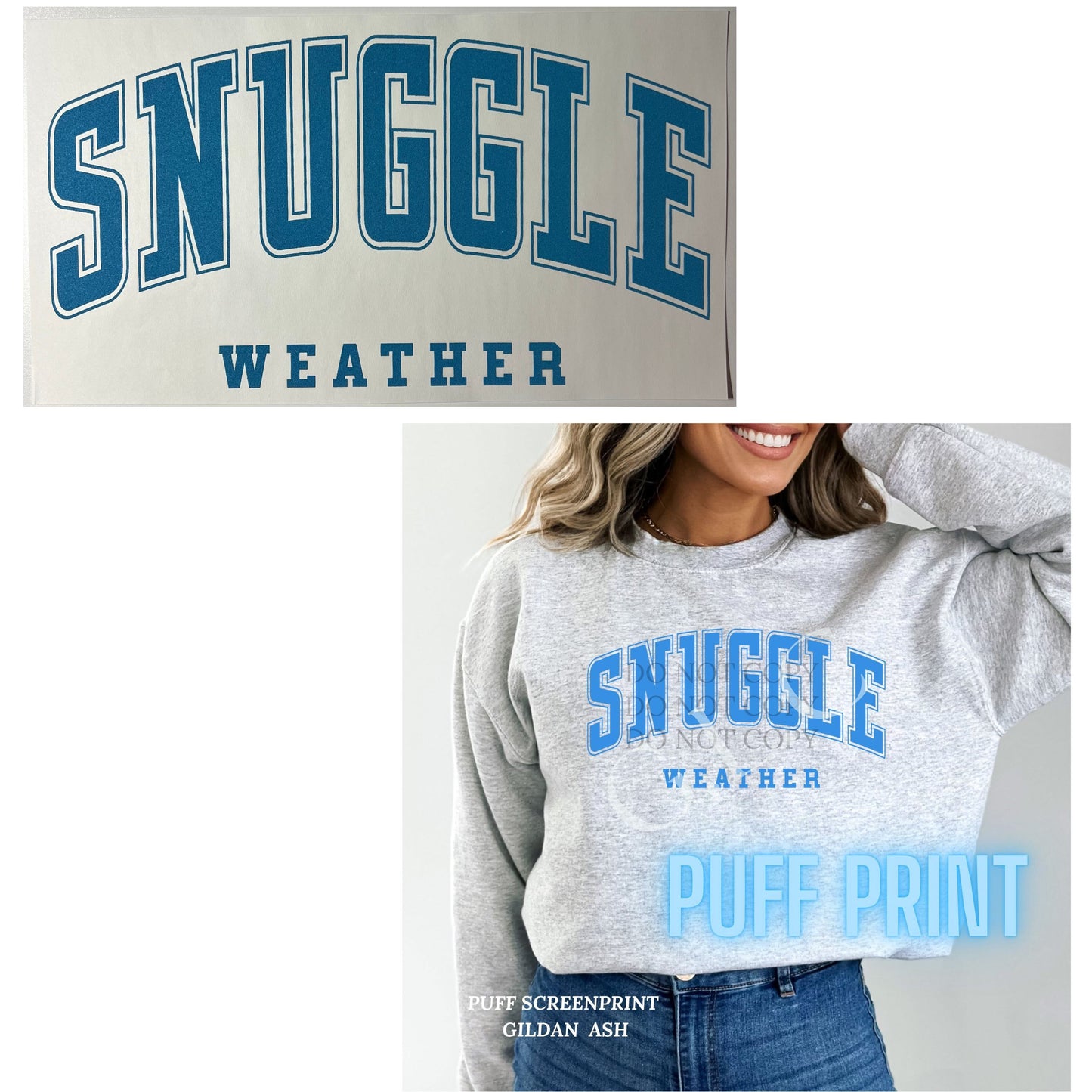 Heat Transfers- Beachy / Seasons