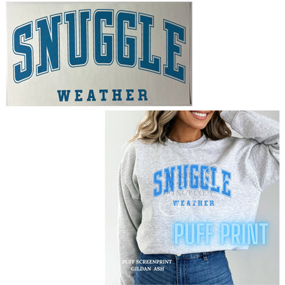 Heat Transfers- Beachy / Seasons