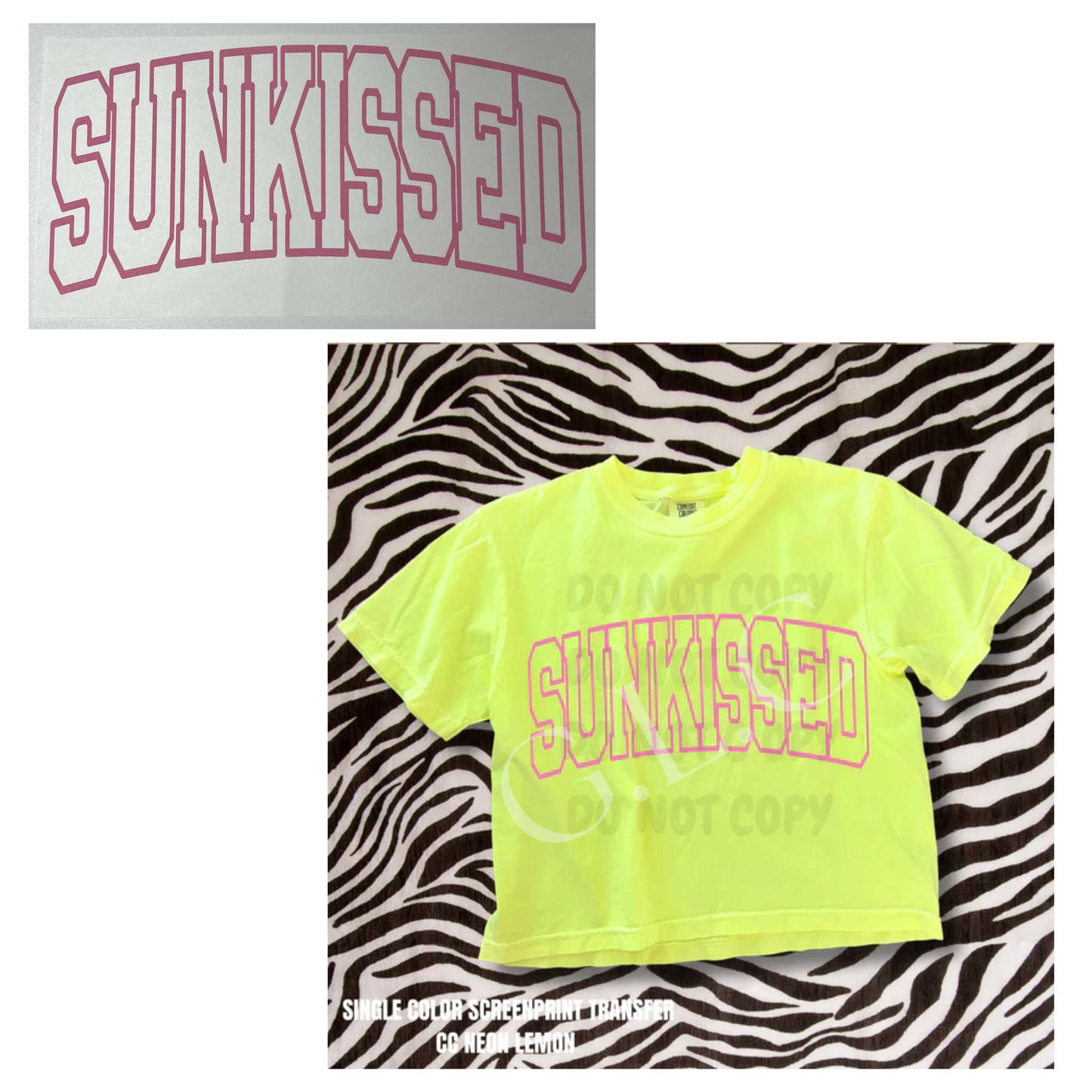 Heat Transfers- Beachy / Seasons