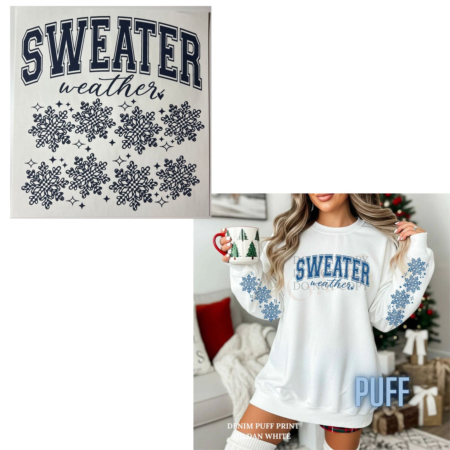 Heat Transfers- Beachy / Seasons