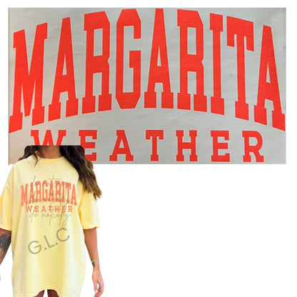 Heat Transfers- Beachy / Seasons