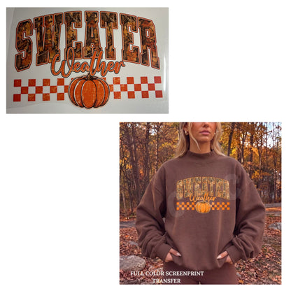 Heat Transfers- Beachy / Seasons